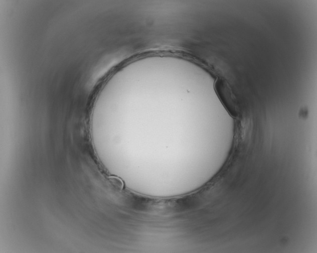 X0000113151165200910161213