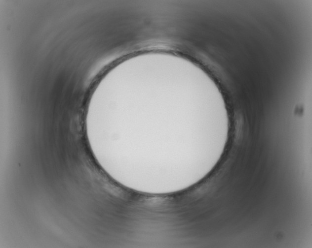 X0000113151166200910161213