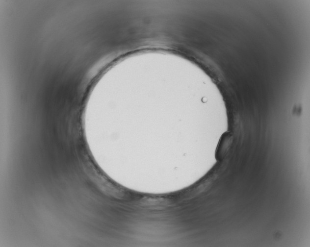 X0000113151168200910161213