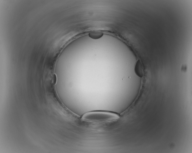 X0000113151169200910161213