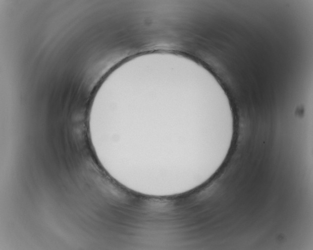 X0000113151170200910161213