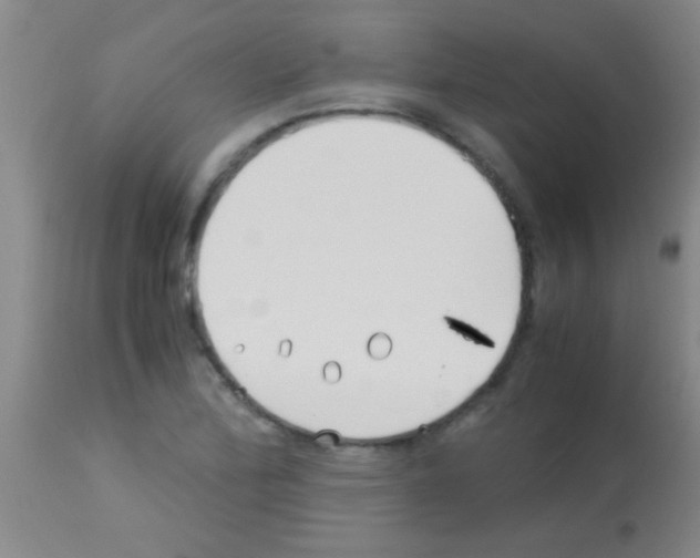 X0000113151172200910161213