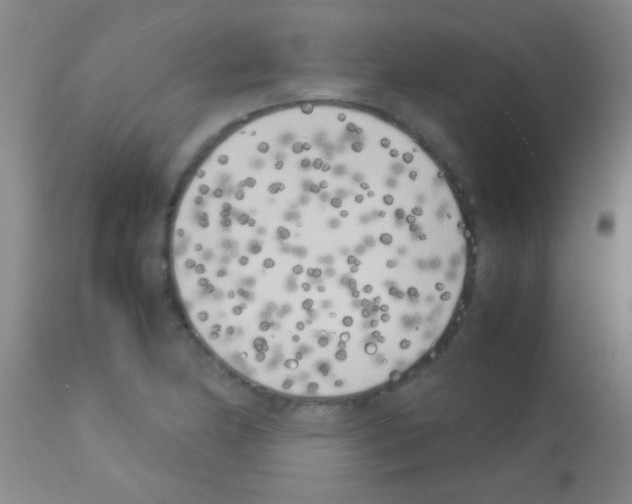 X0000113151174200910161213