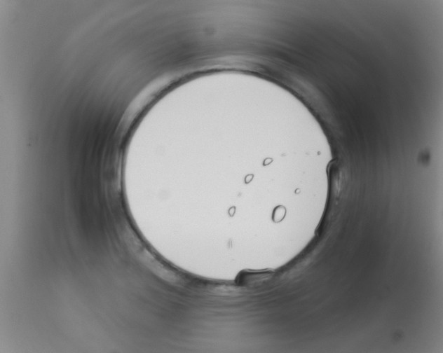 X0000113151180200910161213