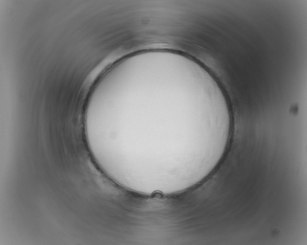 X0000113151181200910161213