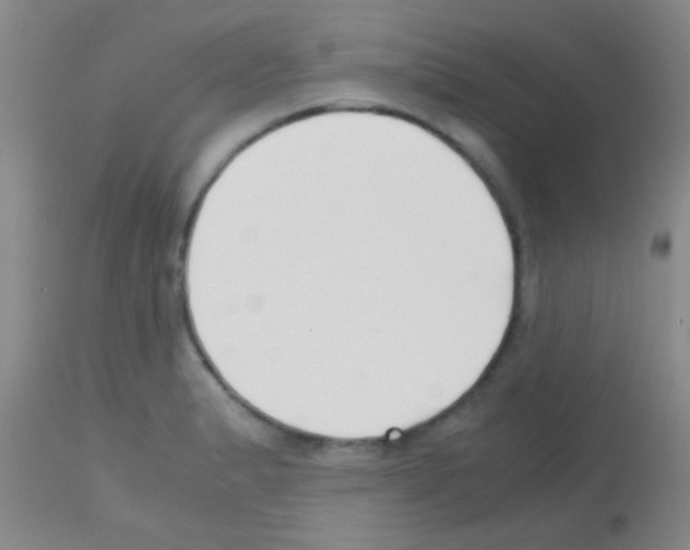 X0000113151183200910161213