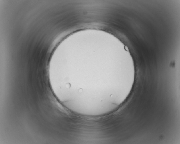 X0000113151184200910161213