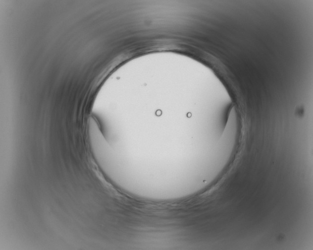 X0000113151185200910161213