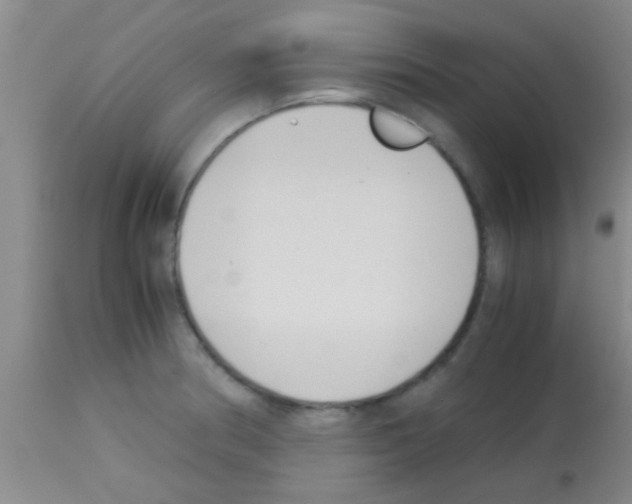 X0000113151186200910161213