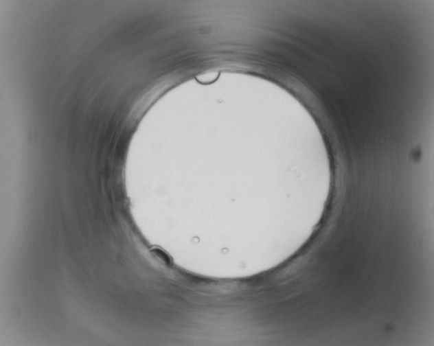 X0000113151193200910161213