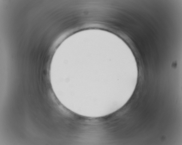 X0000113151199200910161213