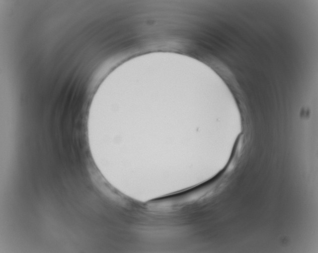 X0000113151200200910161212