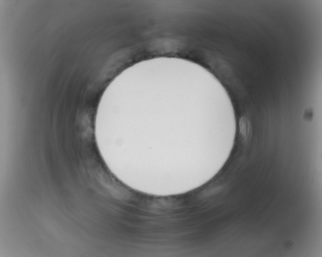 X0000113151203200910161212