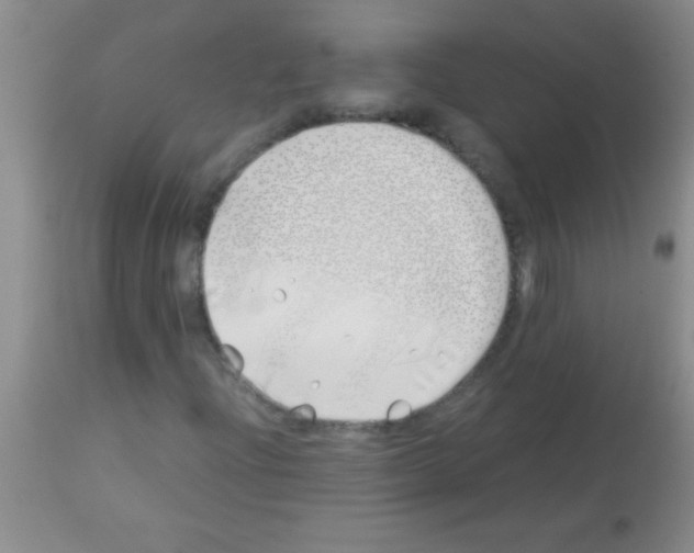 X0000113151204200910161212