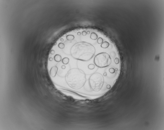 X0000113151205200910161212