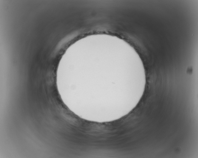 X0000113151207200910161212