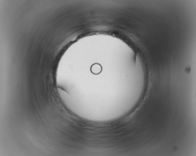 X0000113151209200910161212