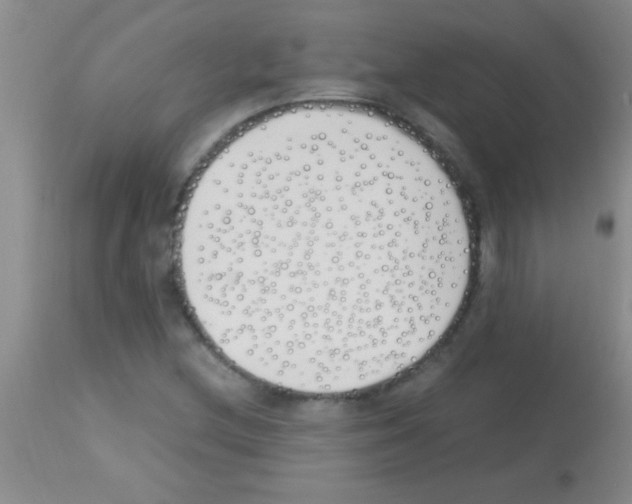 X0000113151212200910161212