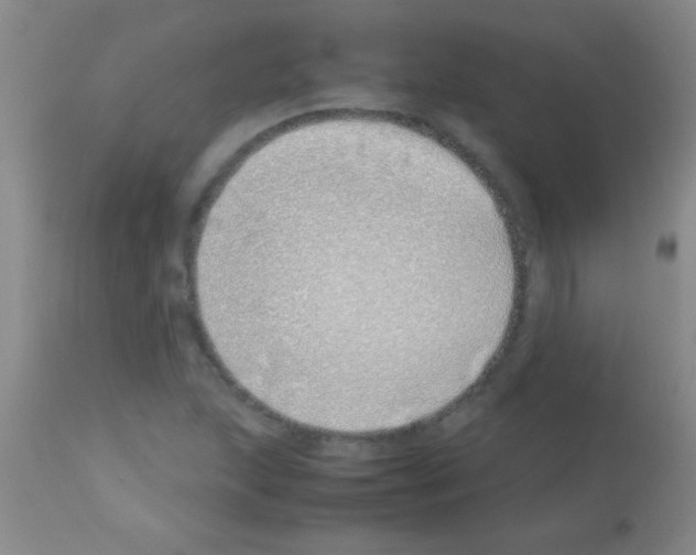 X0000113151215200910161212