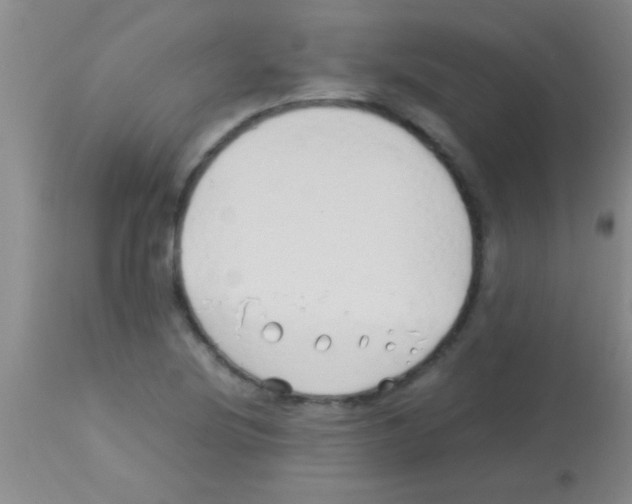 X0000113151220200910161212