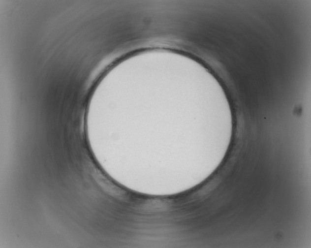 X0000113151224200910161212