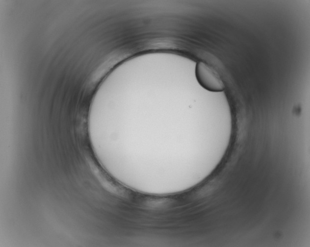 X0000113151225200910161212