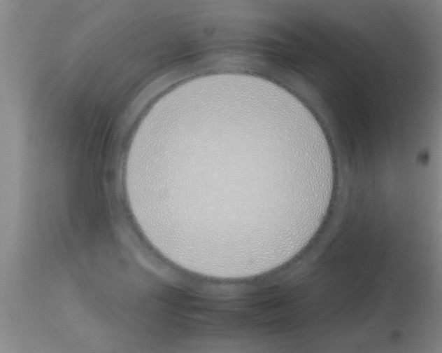 X0000113151227200910161212