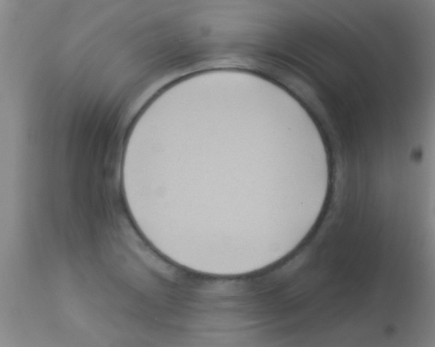 X0000113151228200910161212