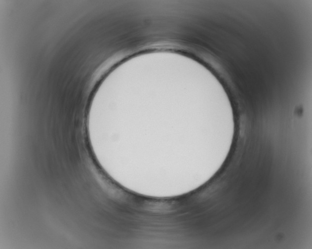 X0000113151229200910161212