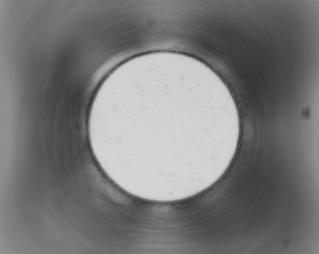 X0000113151230200910161212