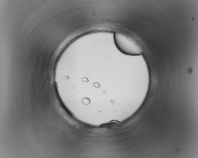 X0000113151232200910161212