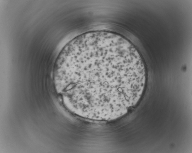 X0000113151234200910161212