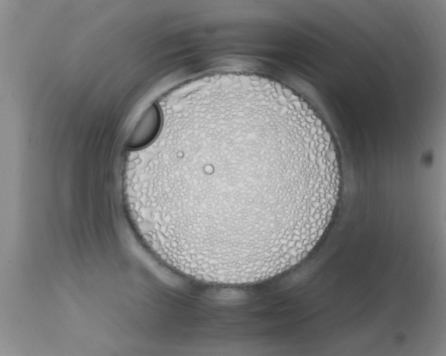 X0000113151235200910161212