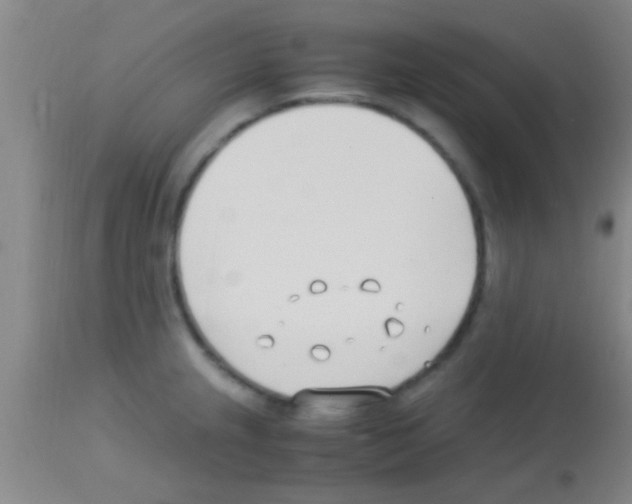 X0000113151237200910161212