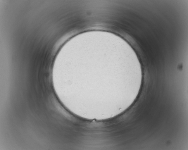 X0000113151238200910161212