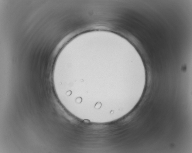 X0000113151240200910161212