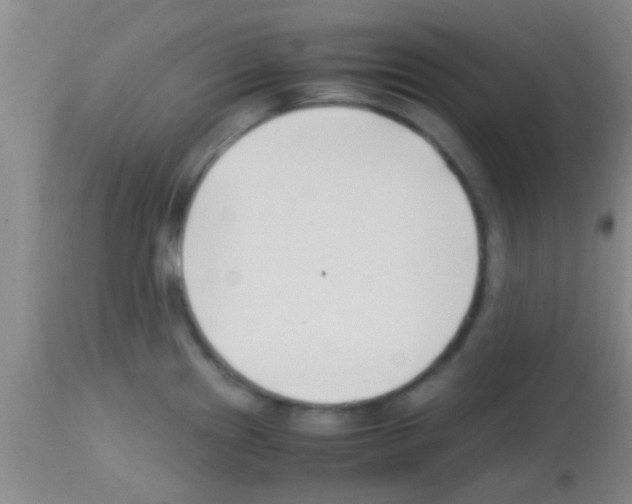 X0000113151241200910161212