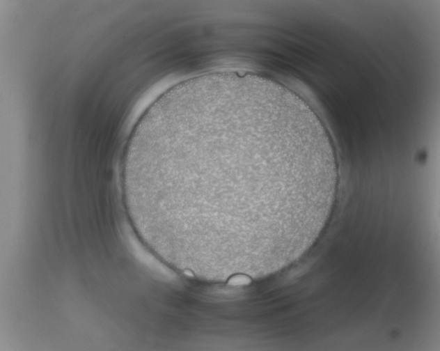 X0000113151243200910161212