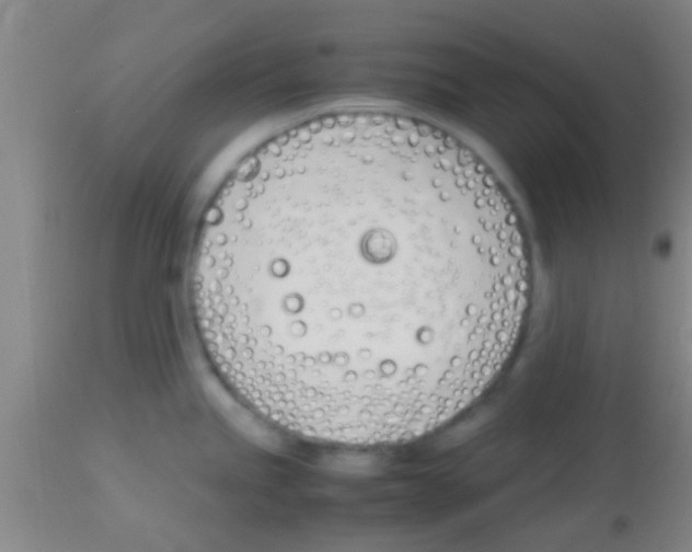 X0000113151245200910161212