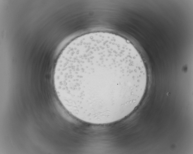 X0000113151246200910161212