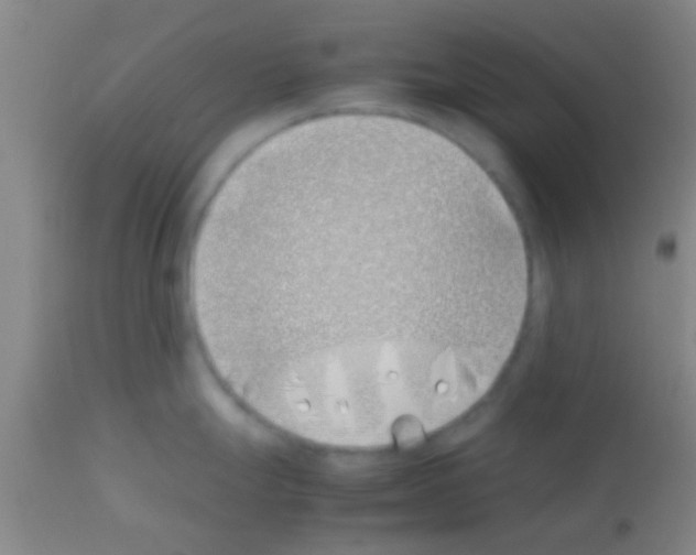 X0000113151247200910161212