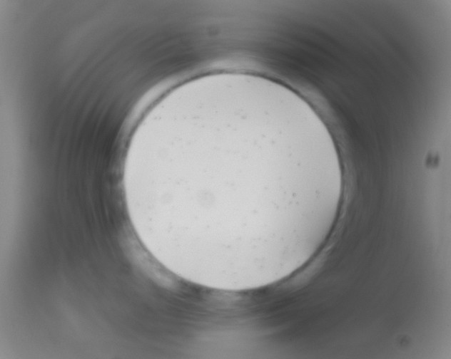 X0000113151248200910161212