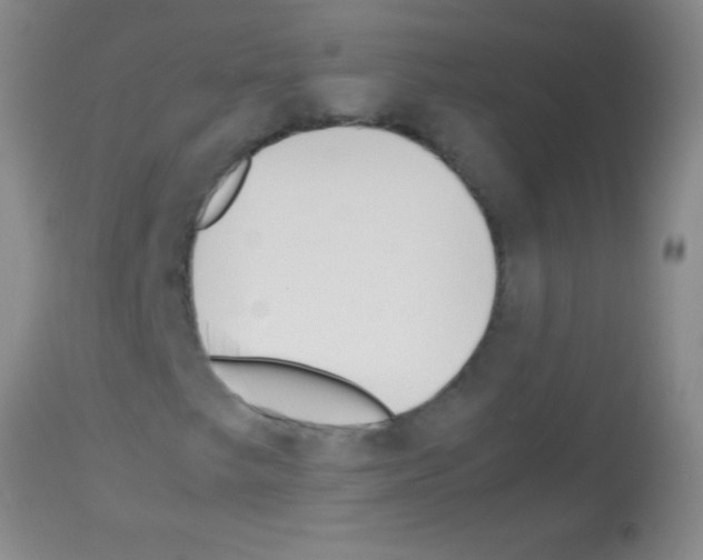 X0000113151249200910161212