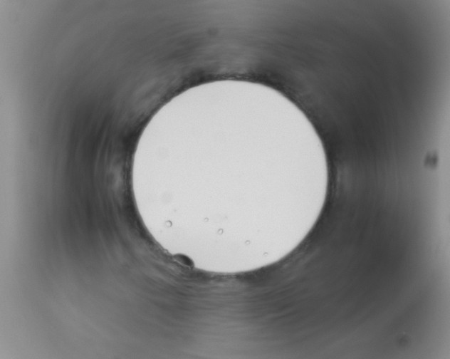 X0000113151250200910161212