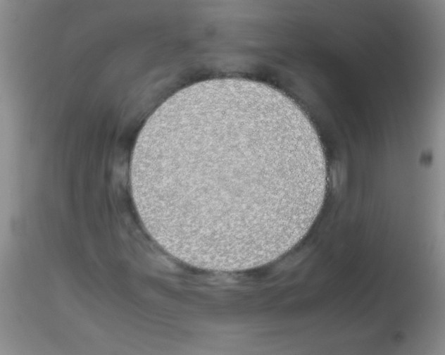 X0000113151251200910161212