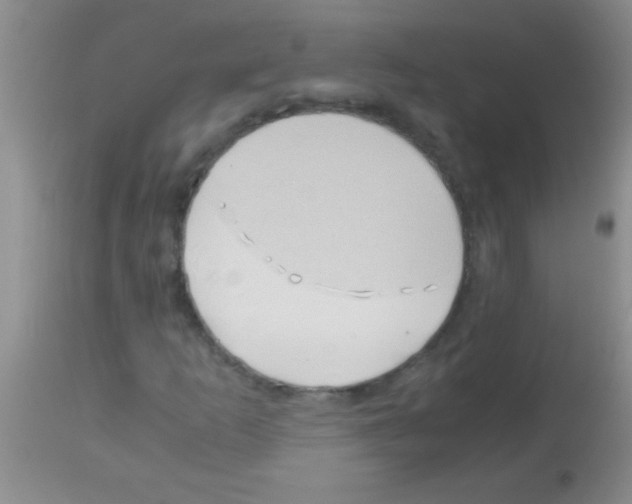 X0000113151253200910161212