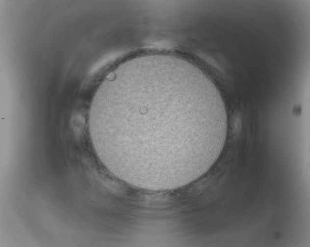 X0000113151254200910161212