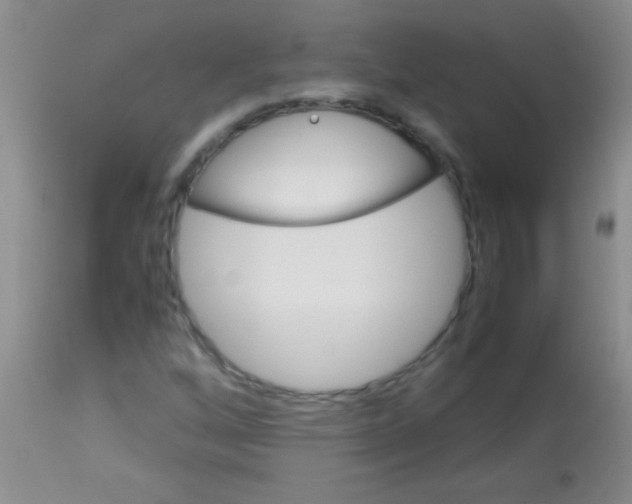 X0000113151256200910161212