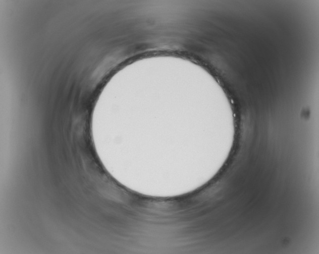 X0000113151257200910161212