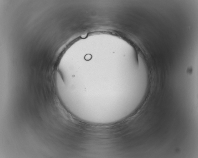 X0000113151260200910161212